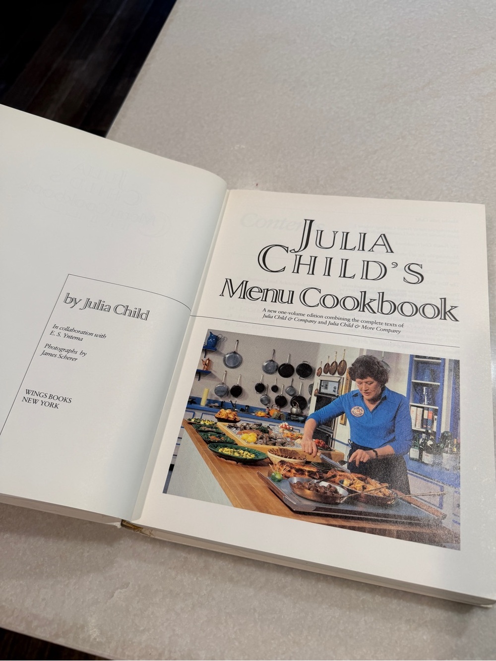 Vintage Blue and Brown Julia Child Cookbook with Kitchen Photo